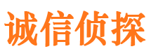 渭城侦探公司